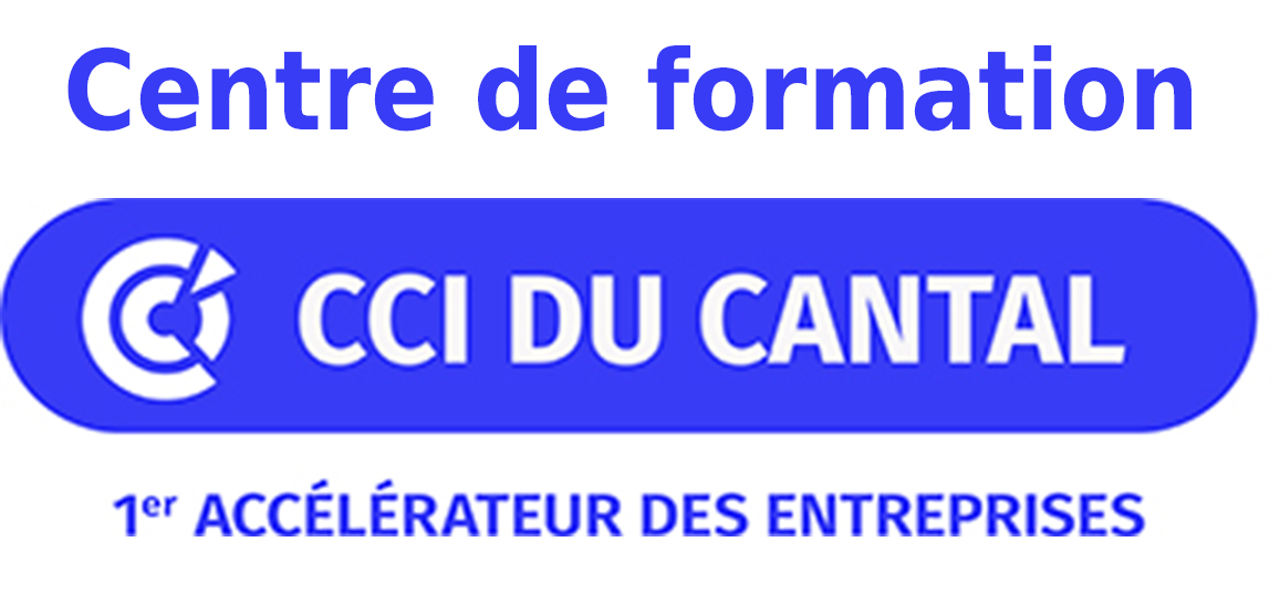 Logo CCI France